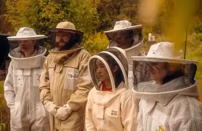 Veterinary Students Expand Focus to Honeybee Health
