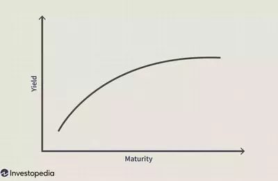 Understanding the Flat Yield Curve: Economic Signals and Investment Strategies