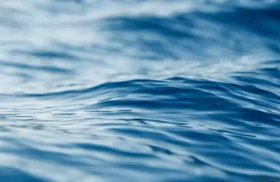 Tetra Tech's Strategic Position in Water Engineering and Consulting