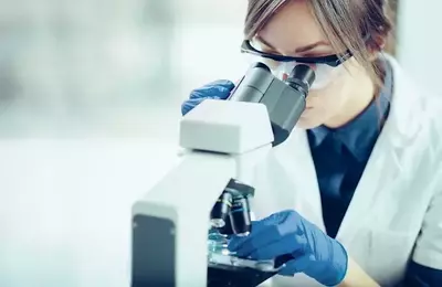 IQVIA's Remarkable Q2 Performance Driven by Clinical Research Backlog