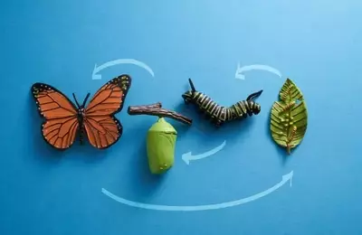Caterpillar's AI Infrastructure Momentum vs. Valuation Risks