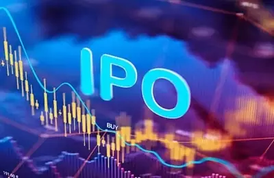 The Evolving Landscape of Initial Public Offerings