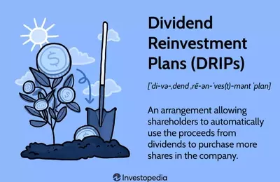 Maximizing Investment Returns Through Dividend Reinvestment Plans (DRIPs)