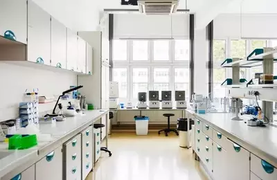 Pacira BioSciences: Advancing in Musculoskeletal Pain Management and Valuation Growth