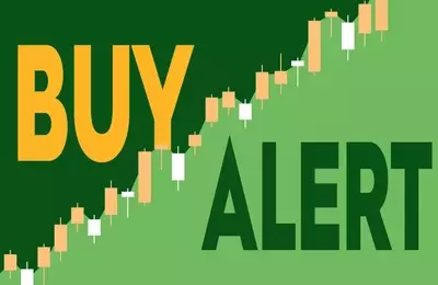 Tractor Supply CEO Increases Stake Amidst Stock Dip