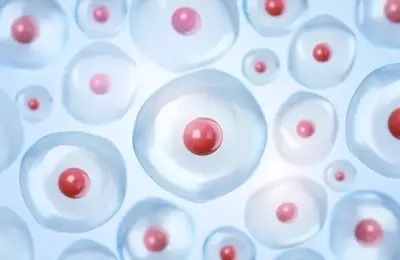 Corvus Pharmaceuticals: Advancing Soquelitinib for PTCL and Atopic Dermatitis