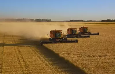 Diversifying Investments: Exploring Opportunities in the Agricultural Sector