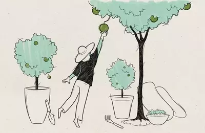 Financially Secure Your Retirement Passions: A Comprehensive Guide
