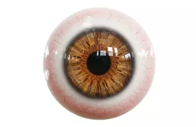 Aura Biosciences: A Deep Dive into Ocular Oncology and Bel-sar's Market Potential