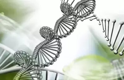 Immunome's Strategic Leap: A Strong Buy for Biotech Investors