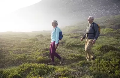 Understanding Safe Harbor 401(k) Retirement Plans