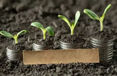 Virtus KAR Small-Mid Cap Growth Fund Q2 Performance Review