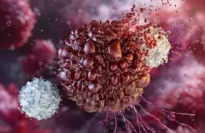 Artiva Biotherapeutics: Pioneering NK Cell Therapy for Autoimmune Diseases