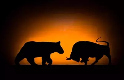 Unraveling the Market Paradox: Bullish Trends Amidst Bearish Global Signals