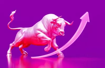 Technology Sector: Steady Growth Ahead, Not a Bubble