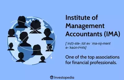 The Institute of Management Accountants: Promoting Excellence in Financial Professions