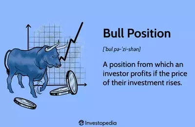 Understanding Bull Positions in Investment: A Comprehensive Guide