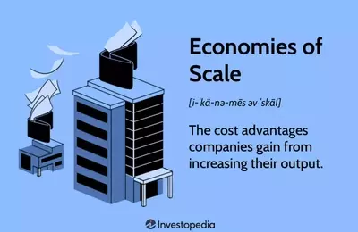 Understanding Economies of Scale: Benefits and Limitations for Businesses