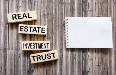 REIT Sector Experiences Slight Dip in July After Strong Q2 Performance