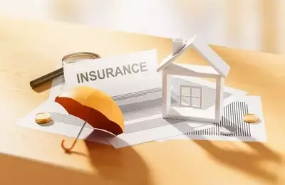 The Evolution of US Excess and Surplus Homeowners Insurance Market