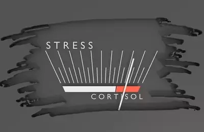 Corcept Therapeutics: Growth Driven by Innovation and Strong Financials