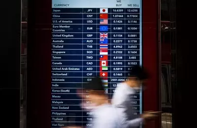 Understanding Foreign Exchange Market Dynamics