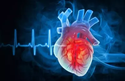 iRhythm Technologies: A Holistic Approach to Cardiac Monitoring