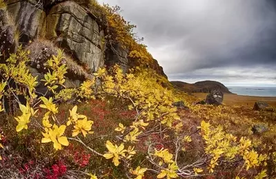 Valor Gold: A New Era for High-Grade Gold in Canada's Northwest Territories