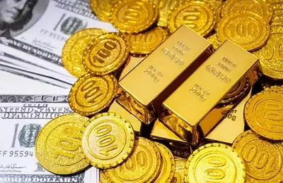 ASA Gold and Precious Metals: A Deep Dive into a Niche Investment