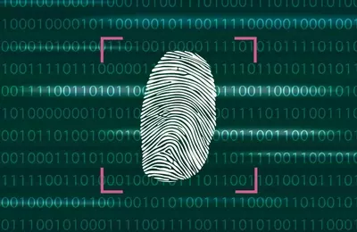 Palo Alto Networks: Anticipating Robust Q4 Growth Amidst Valuation Concerns
