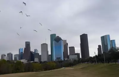 Houston: An Ideal Retirement Destination