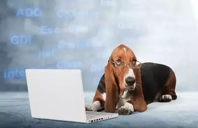 Datadog Stock Rebound: A Prime Investment Opportunity