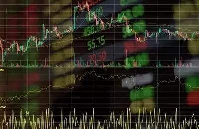 Unpacking Portfolio Performance: Key Drivers and Market Dynamics