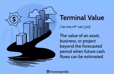 Understanding Terminal Value in Financial Analysis