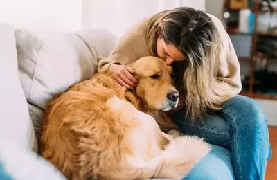 Understanding Your Dog's Affectionate Habit of Spot-Stealing