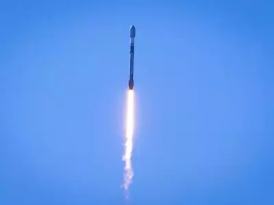 SpaceX's Financial Performance and AI Investments: A Critical Valuation